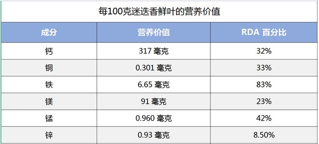 既是世界著名香料，迷迭香到底是什么
