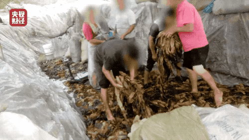 康师傅和统一都有问题吗，让人愤怒的不止脚踩酸菜