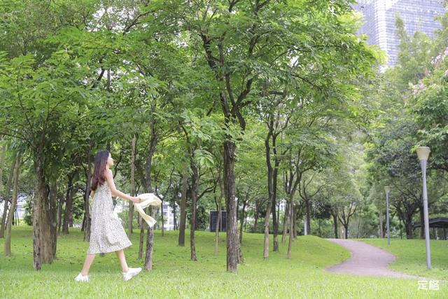 深圳地铁1号线游玩，免费地铁直达深圳这些地方一天玩遍