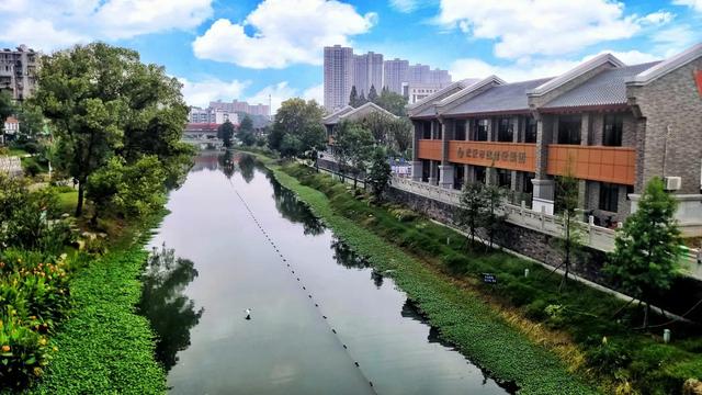 武汉白沙洲人工河，天气下雨鱼情好。坐标武汉市洪山区白沙洲青菱河