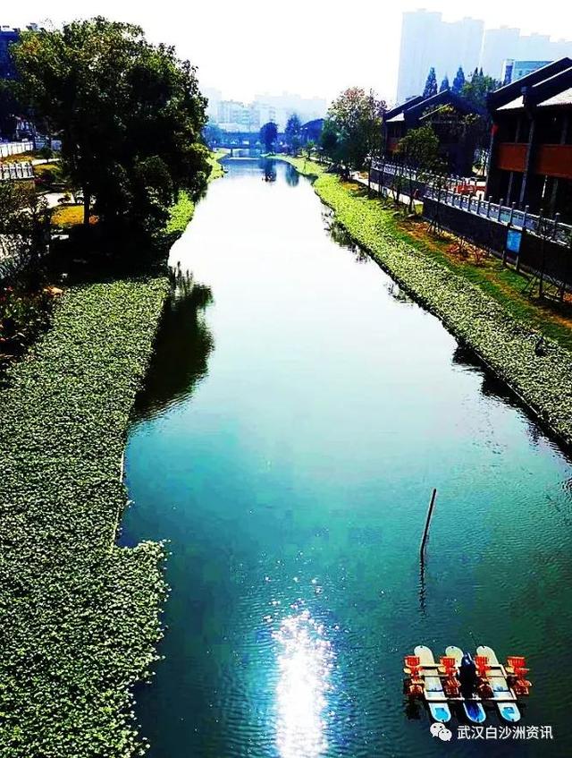 武汉白沙洲人工河，天气下雨鱼情好。坐标武汉市洪山区白沙洲青菱河