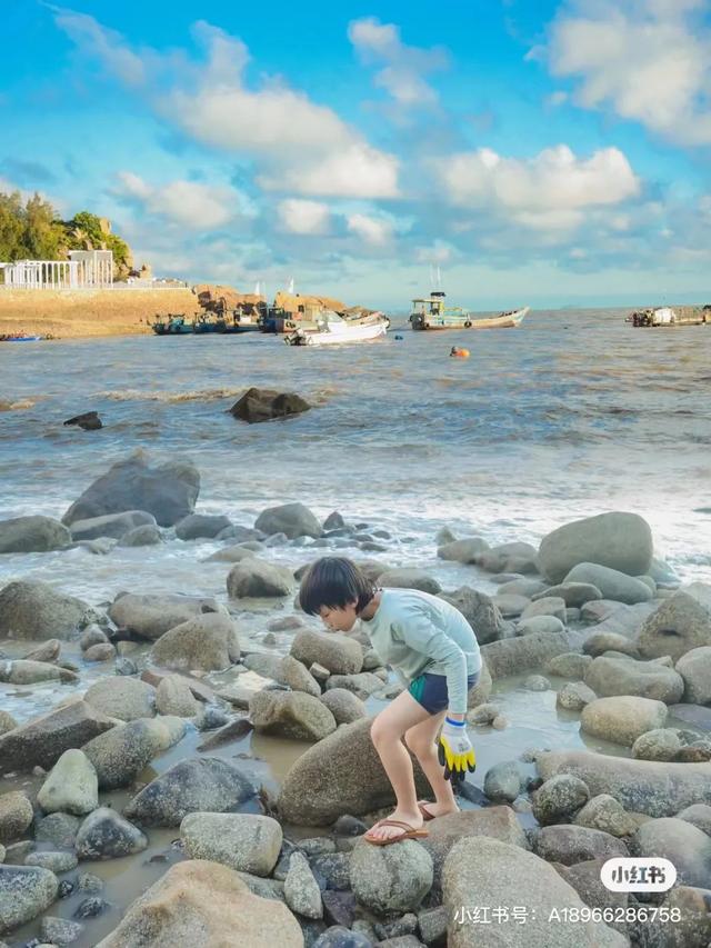 洞头冬天还能不能赶海，天气这么好去洞头赶海啊