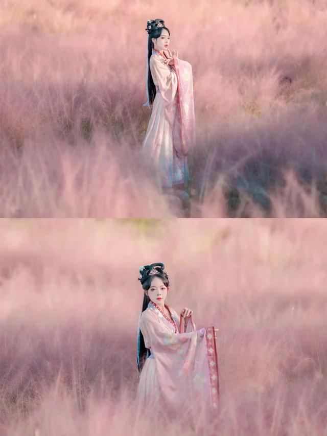 粉黛草向日葵彼岸花海...成都有多少惊喜，粉黛花海花期50天