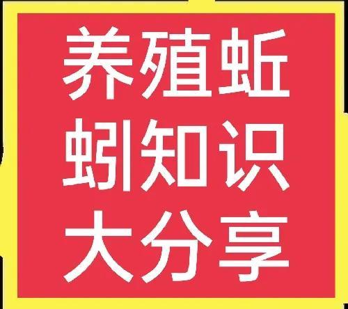 蚯蚓养殖的市场前景，蚯蚓养殖的市场前景现在