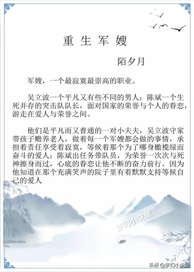 重生军嫂娇养记，推文皮皮