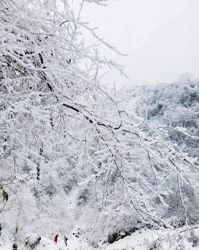 成都周边11月玩雪，成都周边这8个耍雪地不要门票