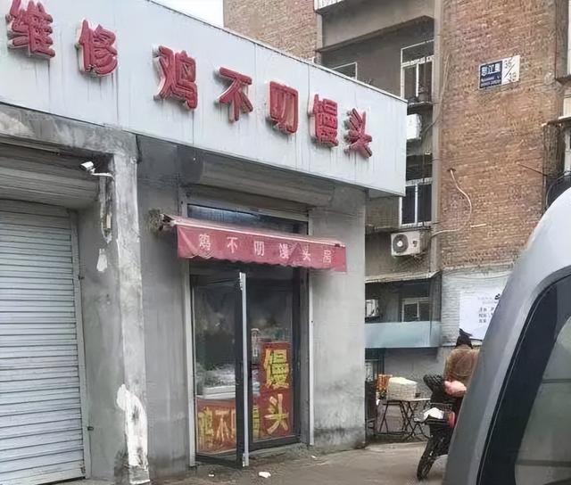 小猫名字接地气，见到天津猫不闻