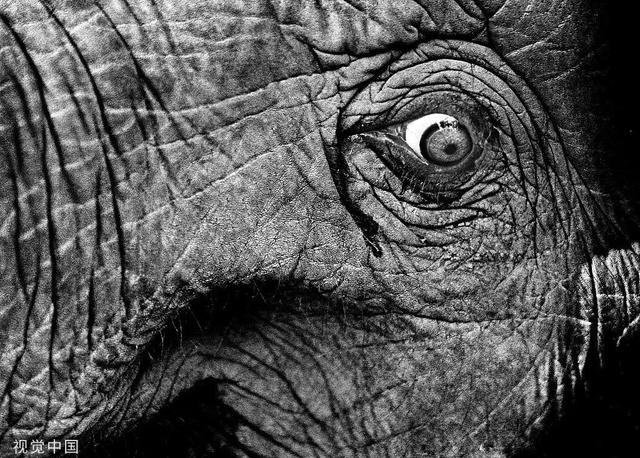 柬埔寨血奴事件，柬埔寨血奴事件发生原因（90后福建女子柬埔寨遭性侵殴打）