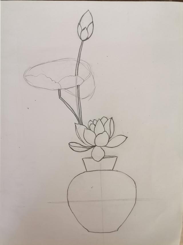 速写入门基础画花卉，7步通俗易懂的速写画画入门教程