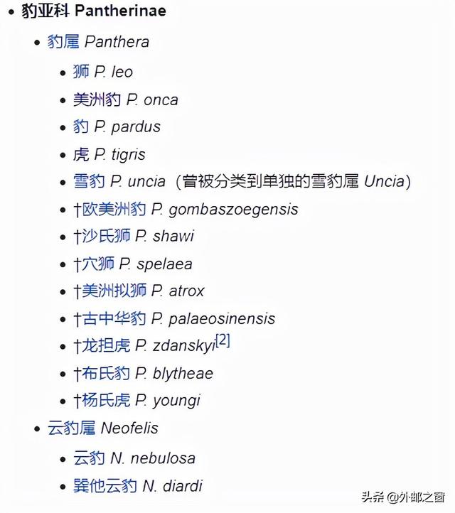 美洲豹和黑美洲狮有什么区别，一篇文章带你读懂大型猫科动物分类