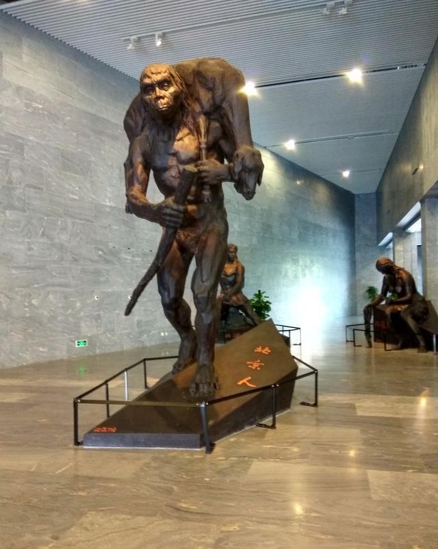 世界上最大规模的人类迁徙，世界最大规模人类迁徙拉开大幕