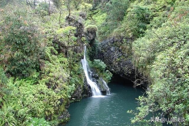 农村夜晚的虫鸣是什么虫，故乡虫鸣