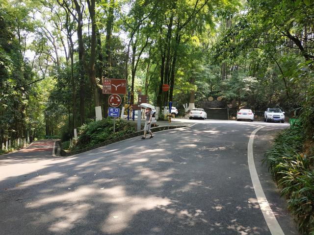 重庆短途摩旅推荐路线，重庆主城摩旅推荐之歌乐山森林公园
