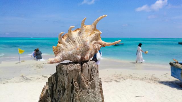 南海之梦号邮轮可以搭载多少游客，南海之梦号邮轮2022年团期及价格表