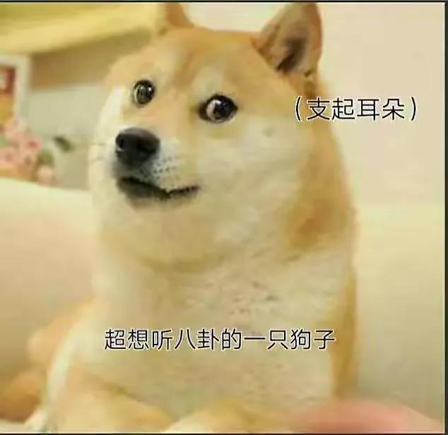 狗的土味方言，一些土味小狗怪图，收了