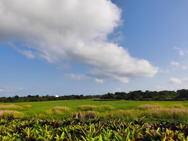 北海涠洲岛旅游攻略自由行，北海涠洲岛一日游旅游攻略（想要省钱又玩得开心这些经验你要知道）