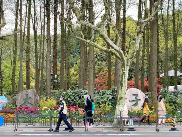 杭州西湖之白堤，“白堤”名出白居易