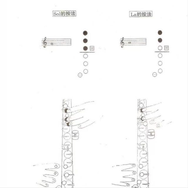 学吹萨克斯入门，初学萨克斯如何吹出1234567（初学吹萨克斯如何吹口型）