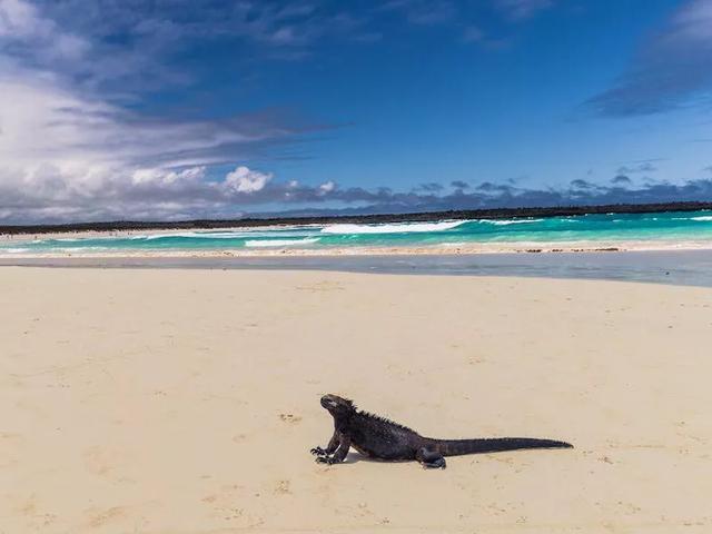 世界上最具标志性的35个海滩，世界十大美丽的海滩