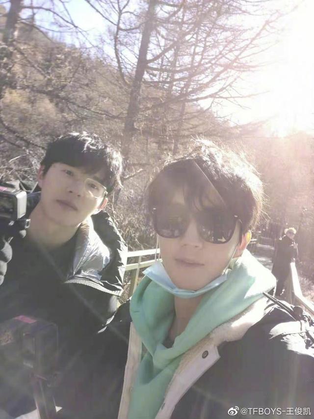 养成系什么意思，什么叫养成系（文艺辣评丨“养成系”成“育儿系”）