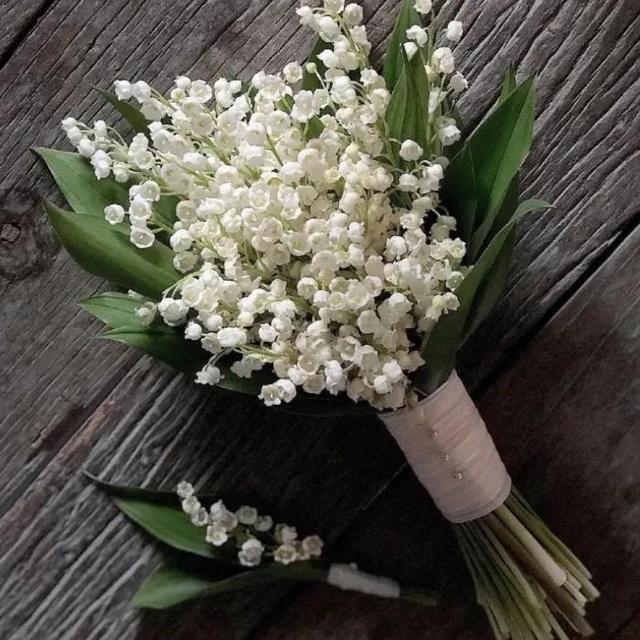 白色铃兰花的花语，铃兰的花语和寓意