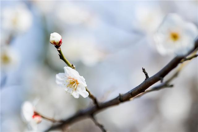 淮安哪个区最繁华，江苏淮安最值得去的地方
