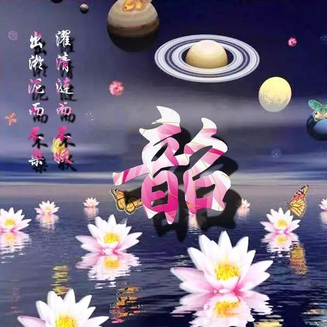 荷花头像图片大全，荷花头像高清图