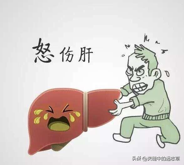 健脾胃的最好方子，送你一张养胃方