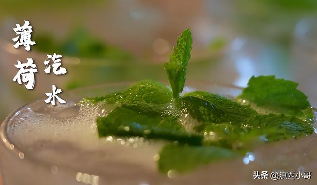 薄荷香料的做法大全，带你认识40款香料及各种底料炖料配方