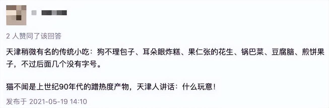 小猫名字接地气，见到天津猫不闻