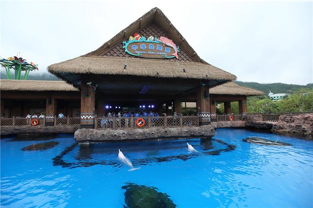 横琴长隆海洋世界，珠海长隆海洋王国八大主题介绍