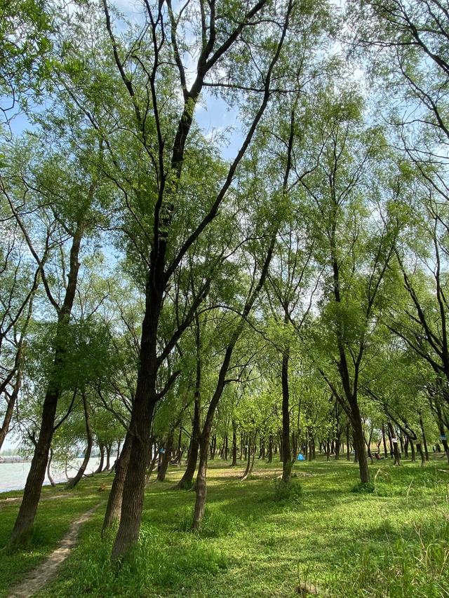 关于江南春天的景色的诗句，江南春天的诗句