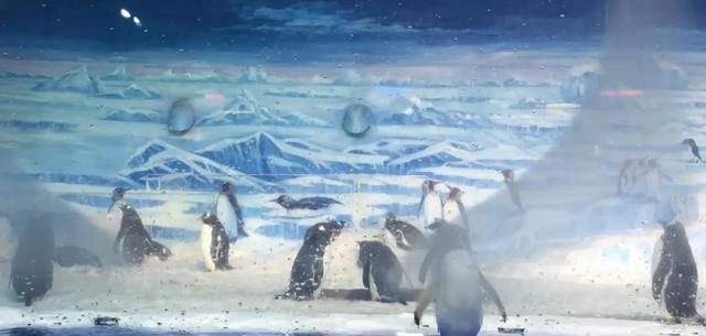 哈尔滨海洋极地馆，哈尔滨极地海洋馆内部（哈尔滨极地公园·极地馆）