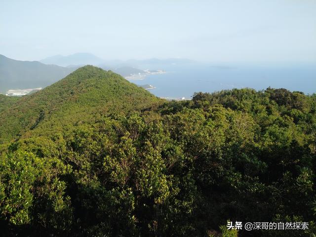 深圳不起眼的山峰，深圳这十座不知名山峰