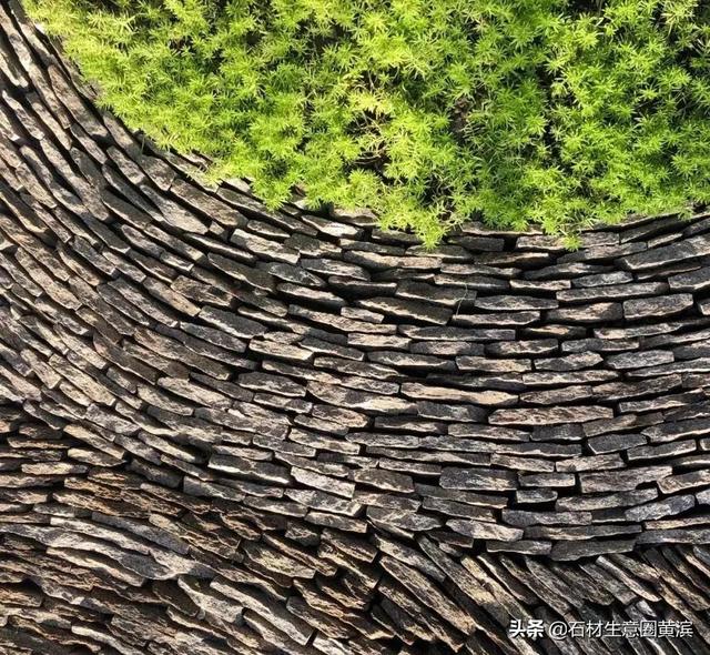 砂岩是什么岩石，泥岩和砂岩页岩的主要区别（哪些岩石中有宝石？—化石）