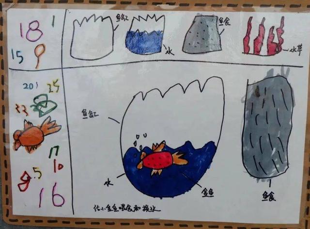 幼儿园自然角在线研讨，小小自然角春意盎然中