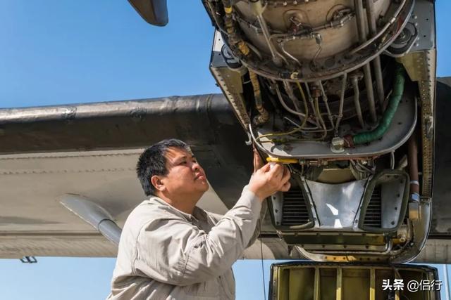 侣行夫妇的记录，中国最牛夫妻：北极求婚