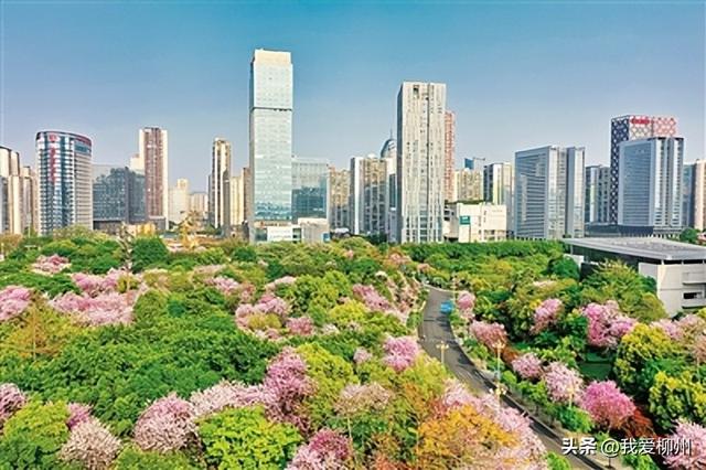 以标准引领城市高质量发展，以“标准化+特色化”引领县城高质量发展