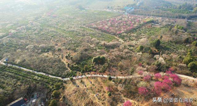 南京金牛湖周边最新规划，金牛湖管理办采用新工艺推进矿山综合治理修复