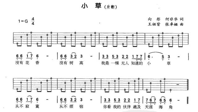 从零开始学吉他，吉他乐理基本知识零基础（零基础入门初学吉他）