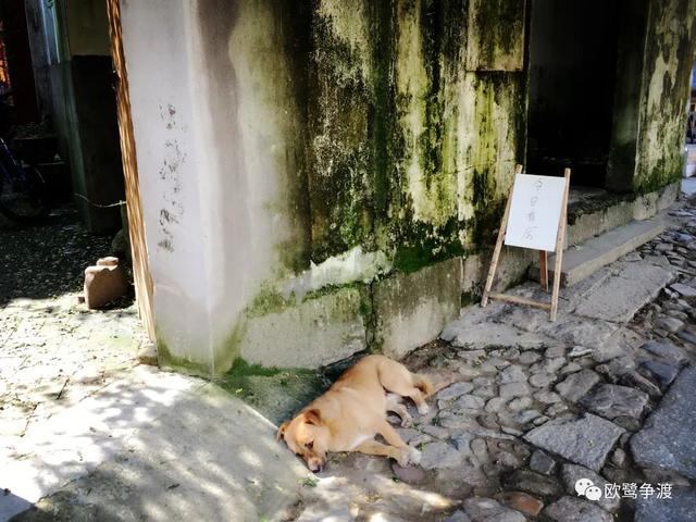 泾县桃花潭周边景点介绍，桃花潭水深千尺