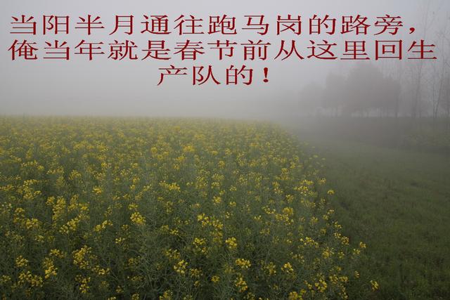回忆在下乡插队的日子,回忆下乡插队的日子 回忆在下乡插队的日子,回忆下乡插队的日子