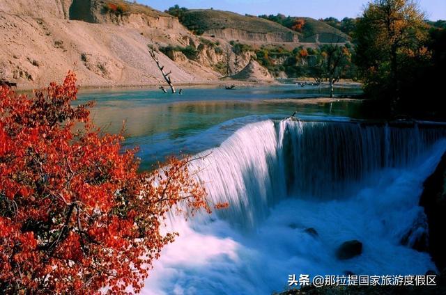 伊犁河谷最值得去的地方，伊犁河谷赏花攻略