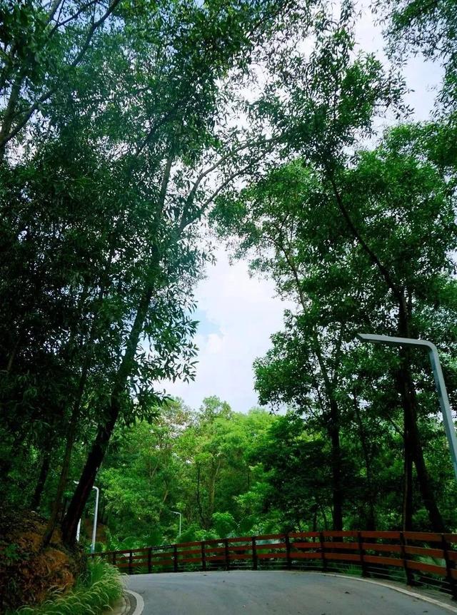 深圳治愈系大自然风景，微度假 ， 最美绿水青山线路