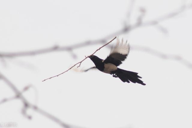 立春有什么讲究，今日立春老规矩忌做5事（立春的时间有什么讲究）