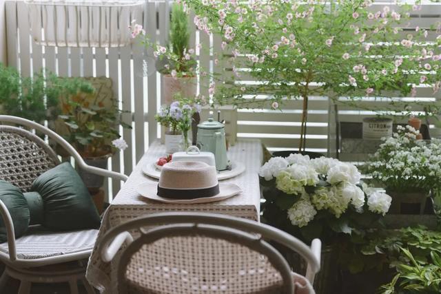 法式花园如何欣赏，海妈花园访问阳台花园满分案例