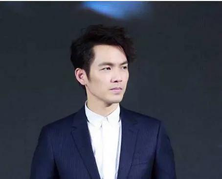 大叔型的男明星，成熟帅气有魅力的男明星