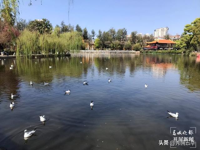 昆明地铁5号线线路图，5号线来了快上车（地铁线路图昆明5号线）