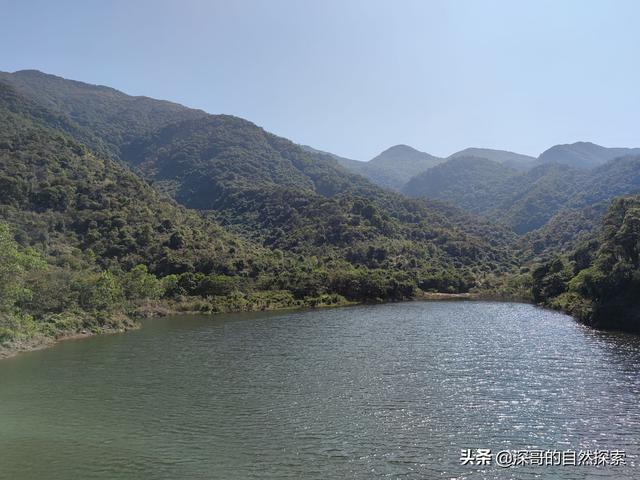 深圳不起眼的山峰，深圳这十座不知名山峰