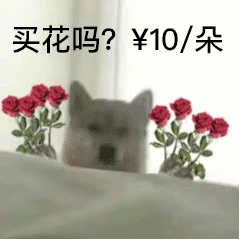 可爱小狗表情包，可爱表情包大全狗子